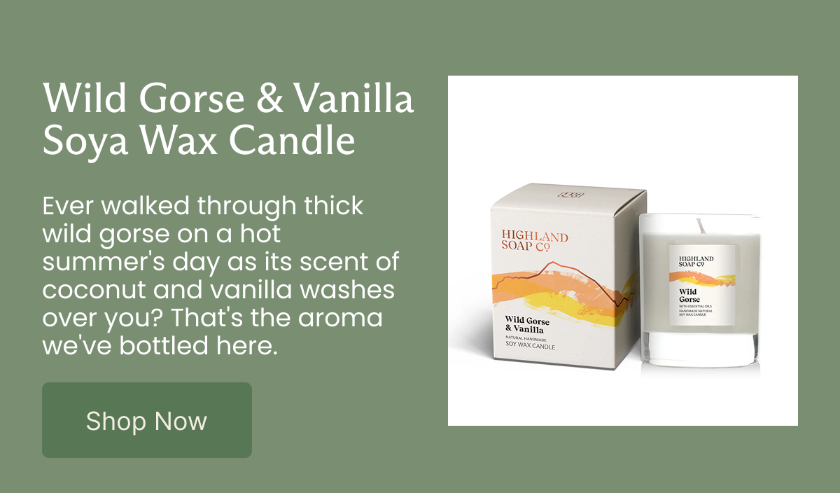 Wild Gorse & Vanilla Soya Wax Candle Ever walked through thick wild gorse on a hot summer's day as its scent of coconut and vanilla washes over you? That's the aroma we've bottled here.   [Shop Now]