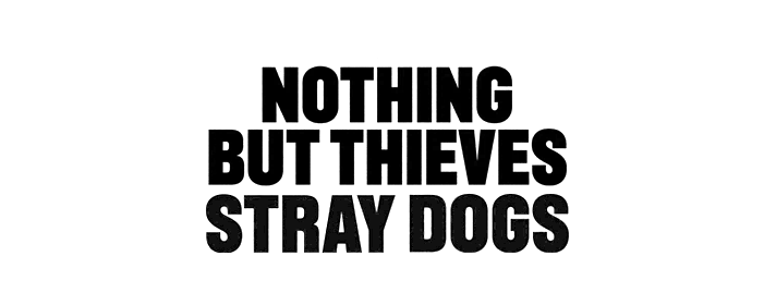 Nothing But Thieves: Stray Dogs