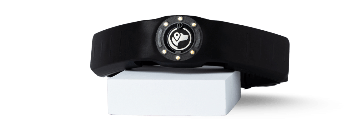 Nova Edition Collar