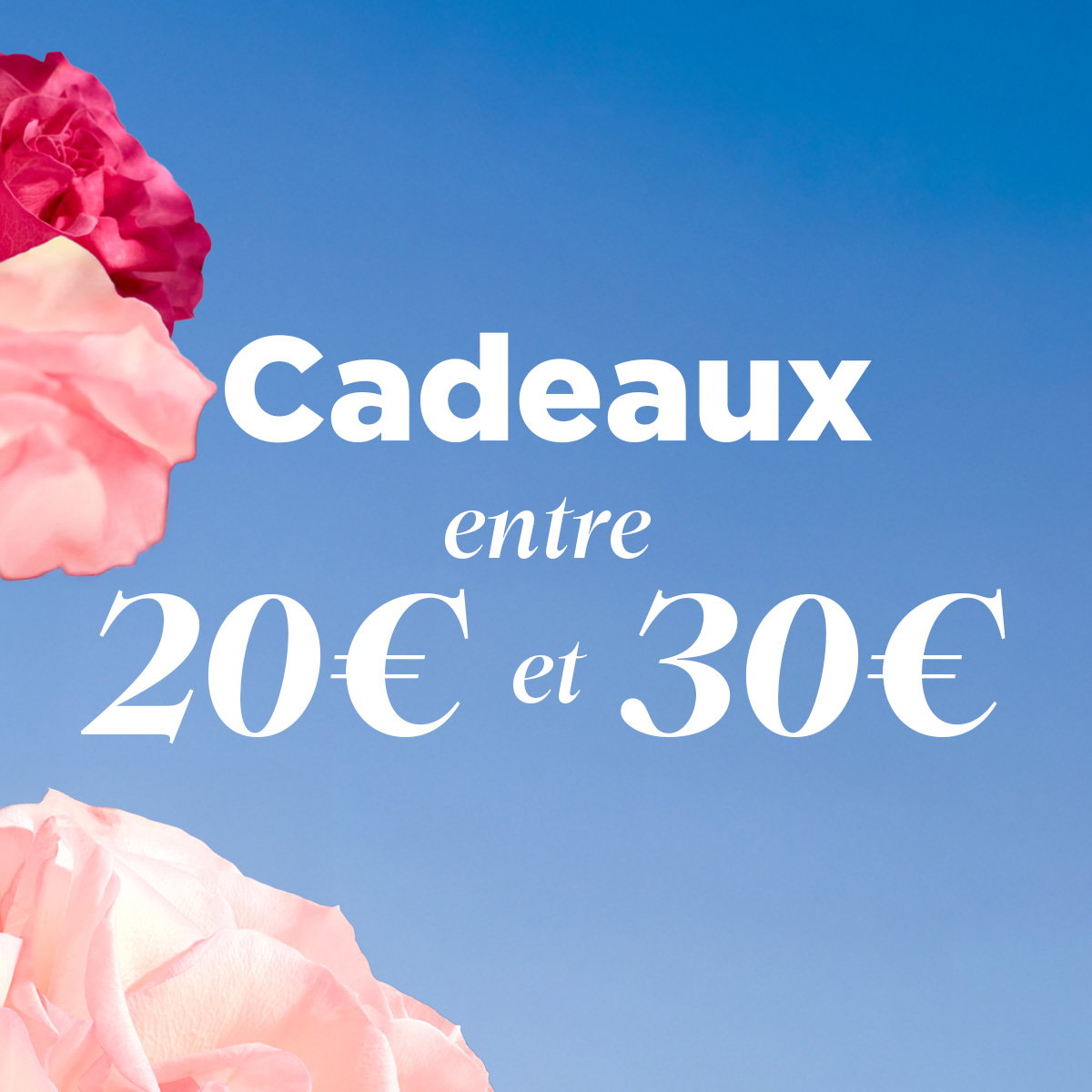 Cadeaux entre 20€ et 30€