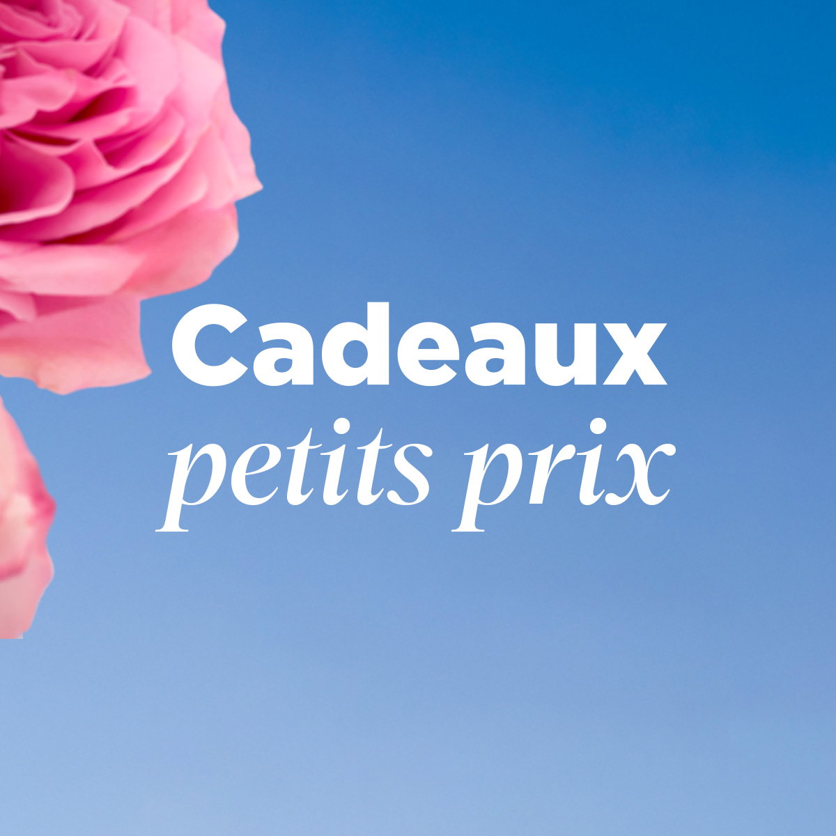 Cadeaux petits prix