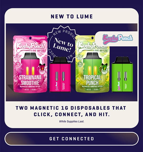 New Kushy Punch Vapes