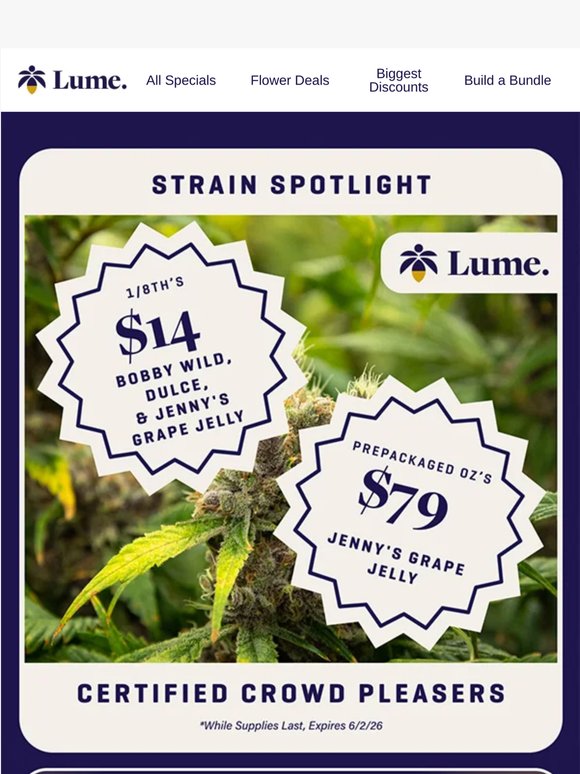 Discover Brand New Deals