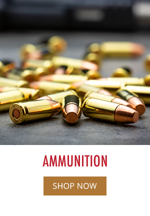 Shop All Ammo