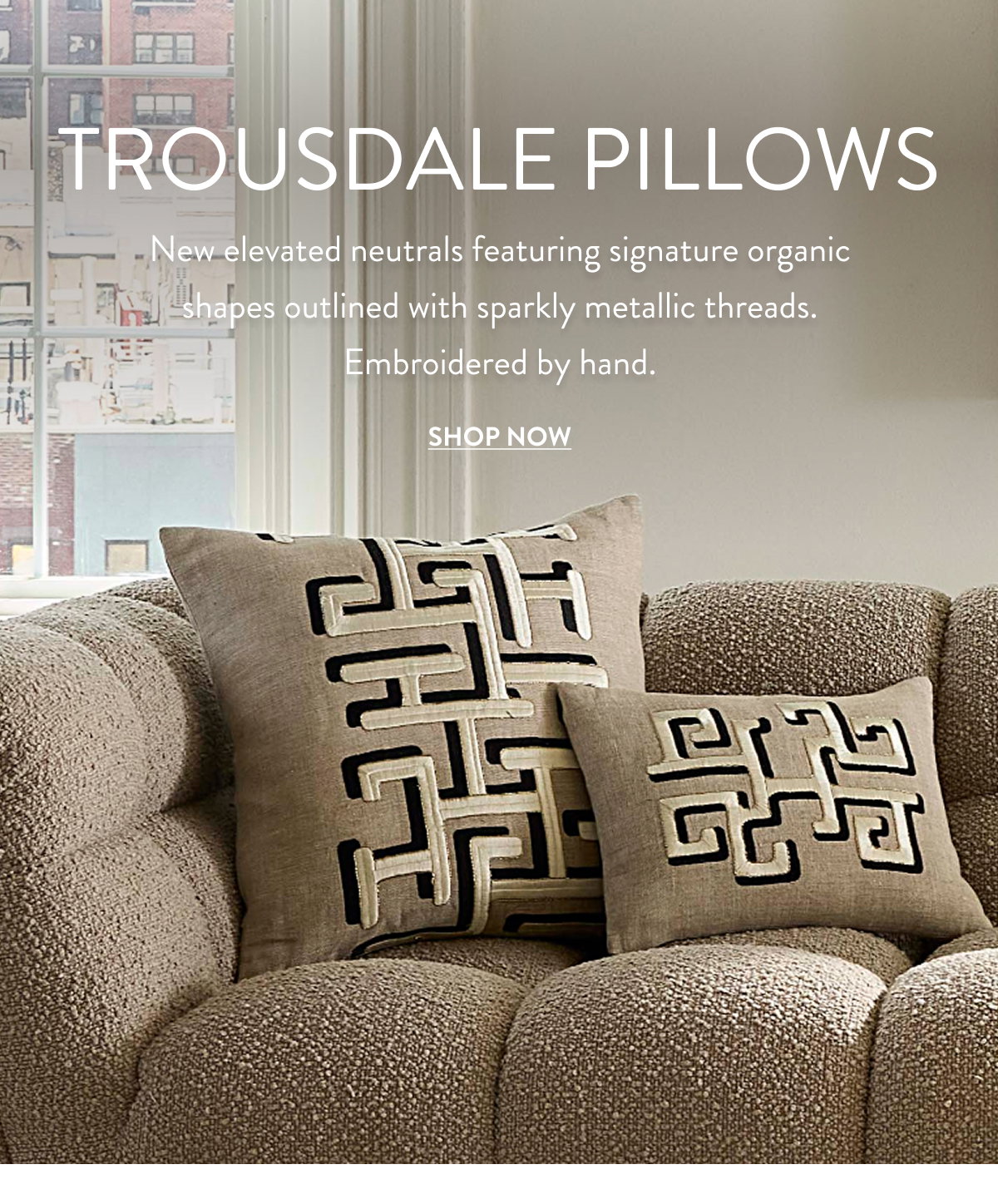 Shop Trousdale Pillows