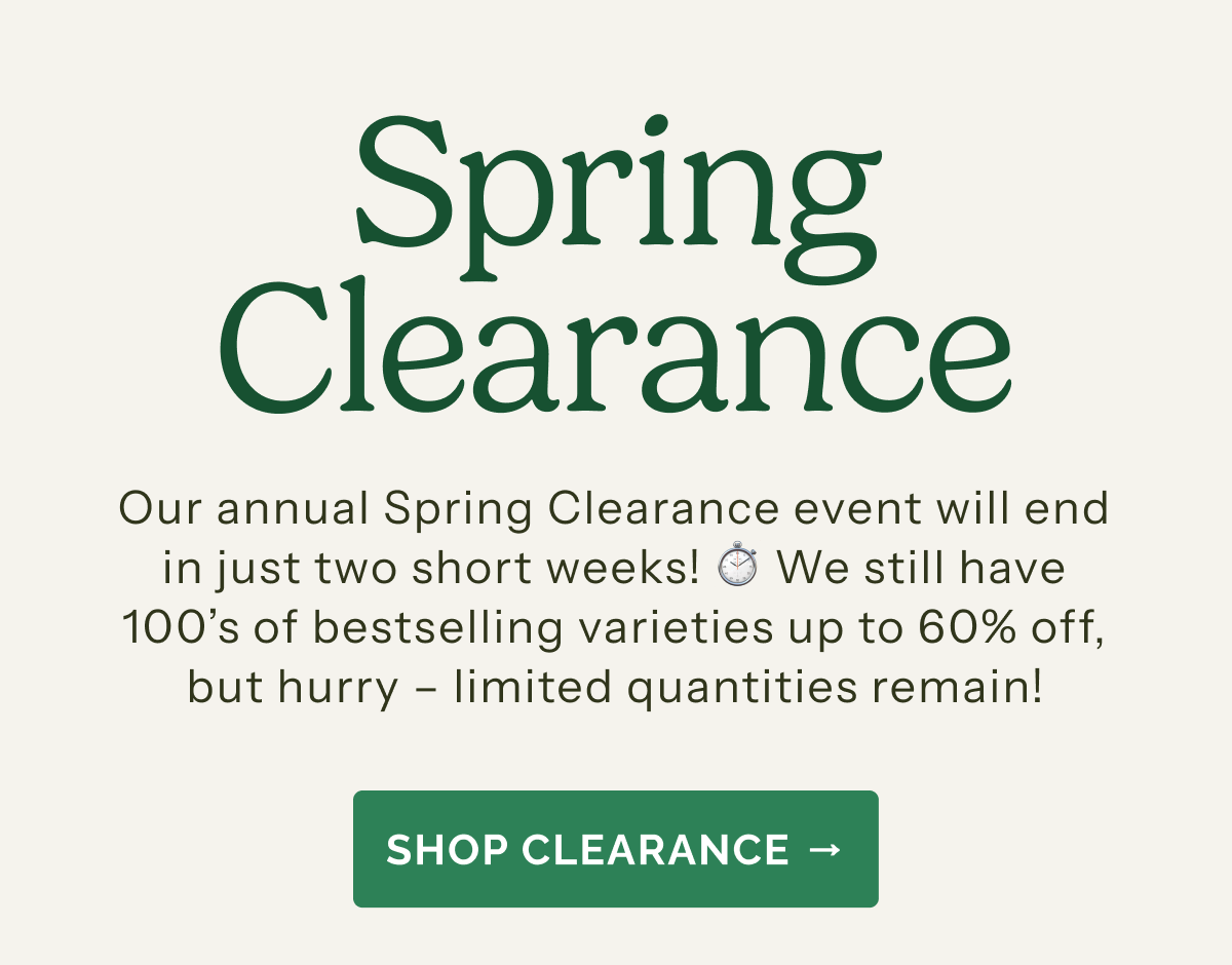 Spring Clearance – Our annual Spring Clearance event will end in just two short weeks! We still have 100's of bestselling varieties up to 60% off, but hurry – limited quantities remain! SHOP CLEARANCE>>