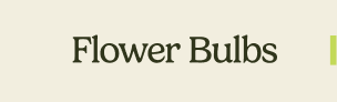 Flower Bulbs