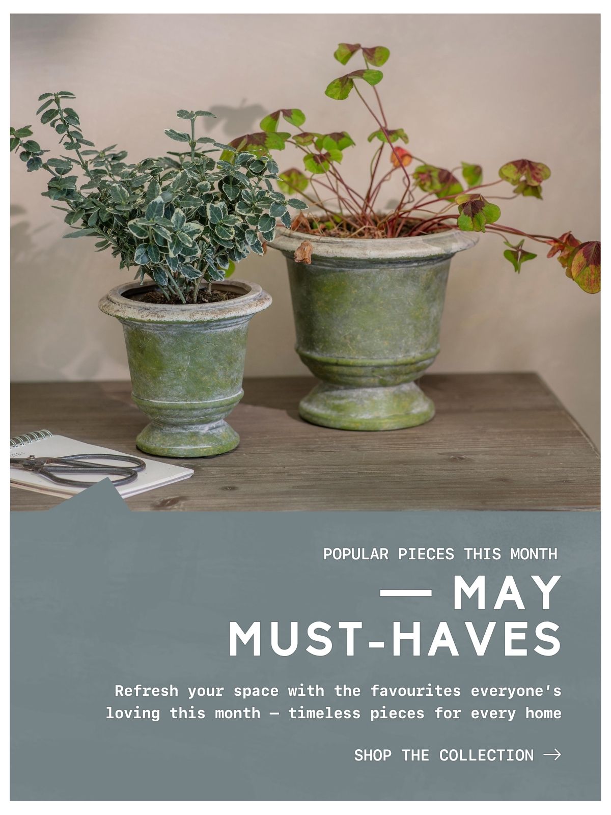 May Must-Haves - Explore Bestsellers