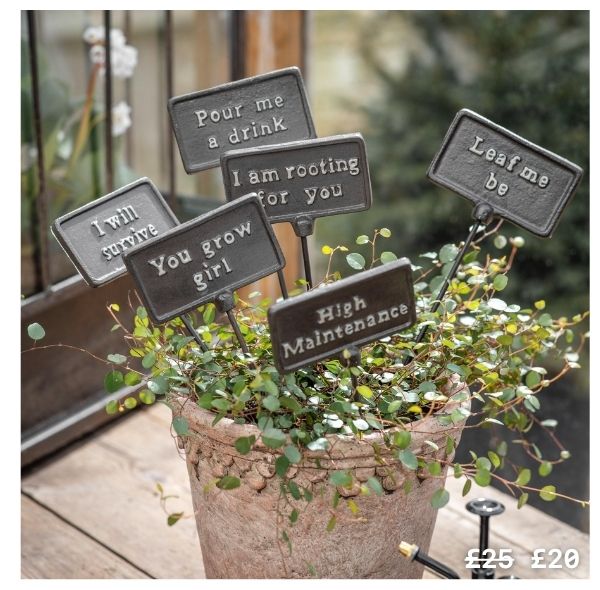 Highridge Set of 6 Playful Plant Signs