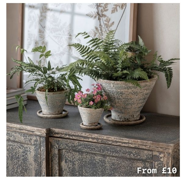 Colerne Planter