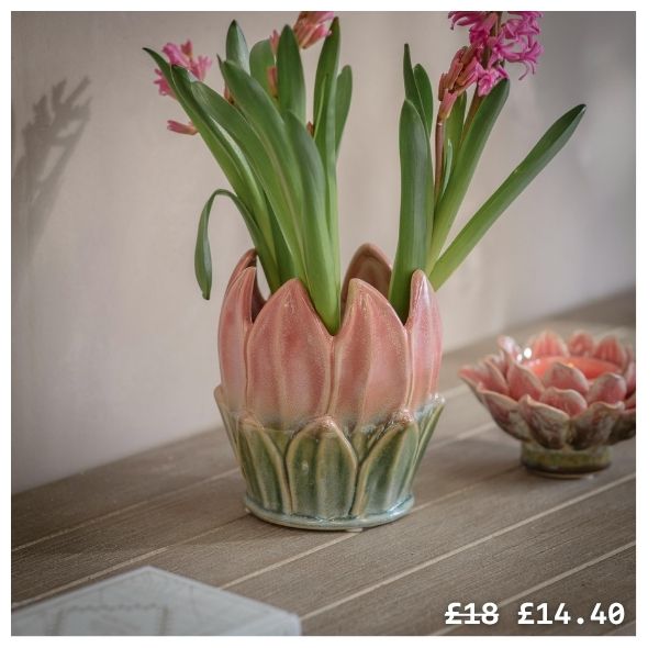 Tresco Protea Vase
