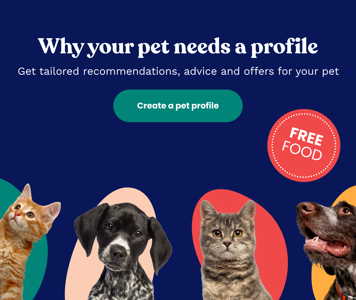 Why your pet needs a profile