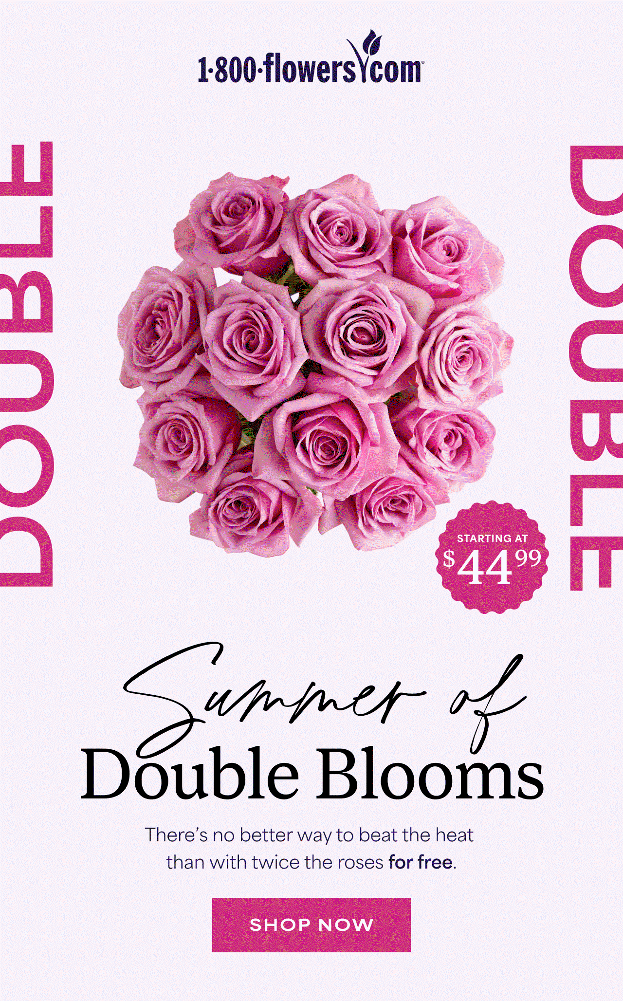 Summer of Double Blooms | there's no better way to beat the heat than with twice the roses for free.