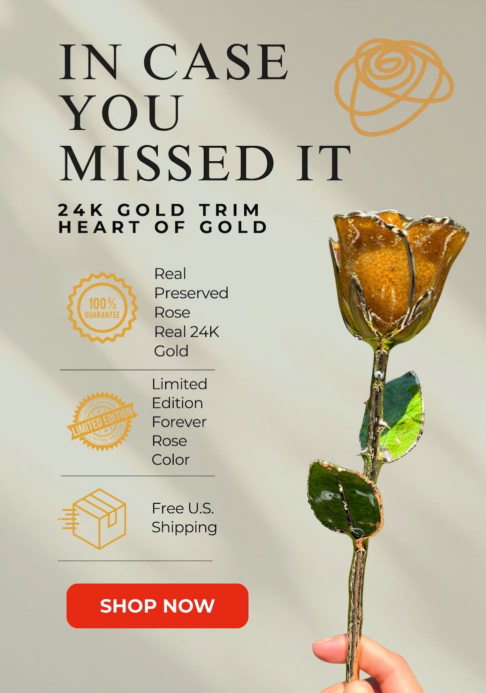 Diamond Forever Rose