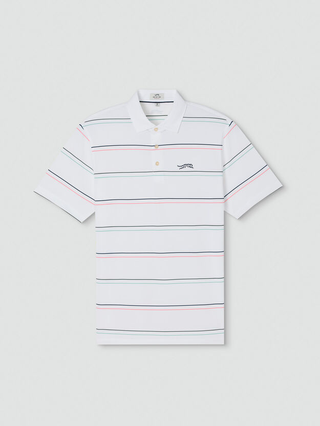 Jupiter Stripe Polo - Cloud Gray
