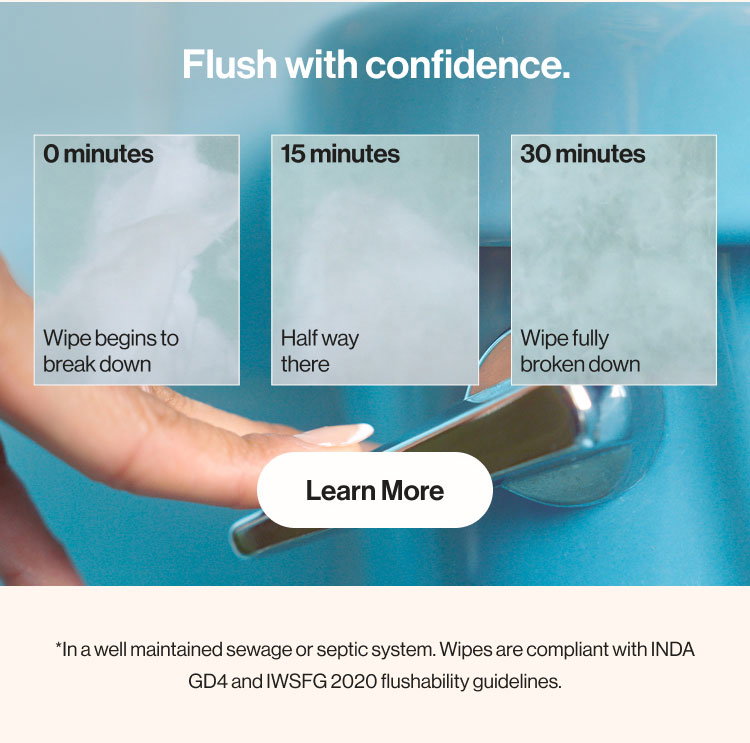 Breakdown of Honest Flushable Wipes after 15 and 30 minutes in a septic system
