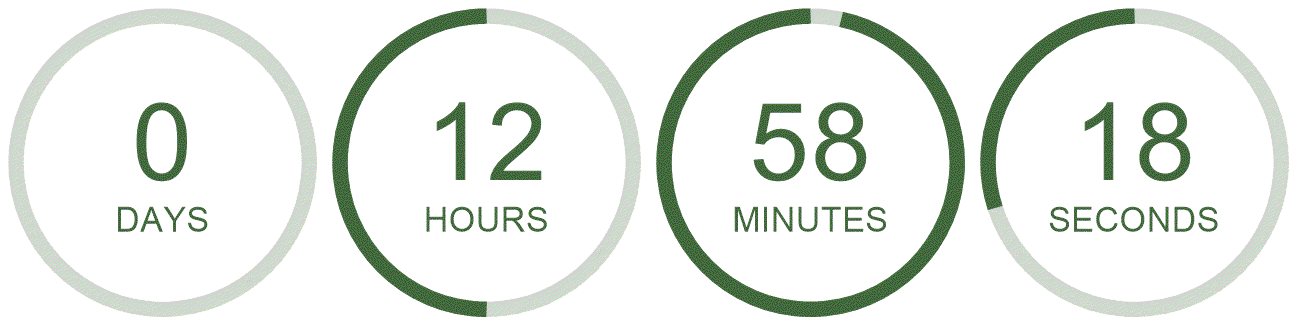 Timer