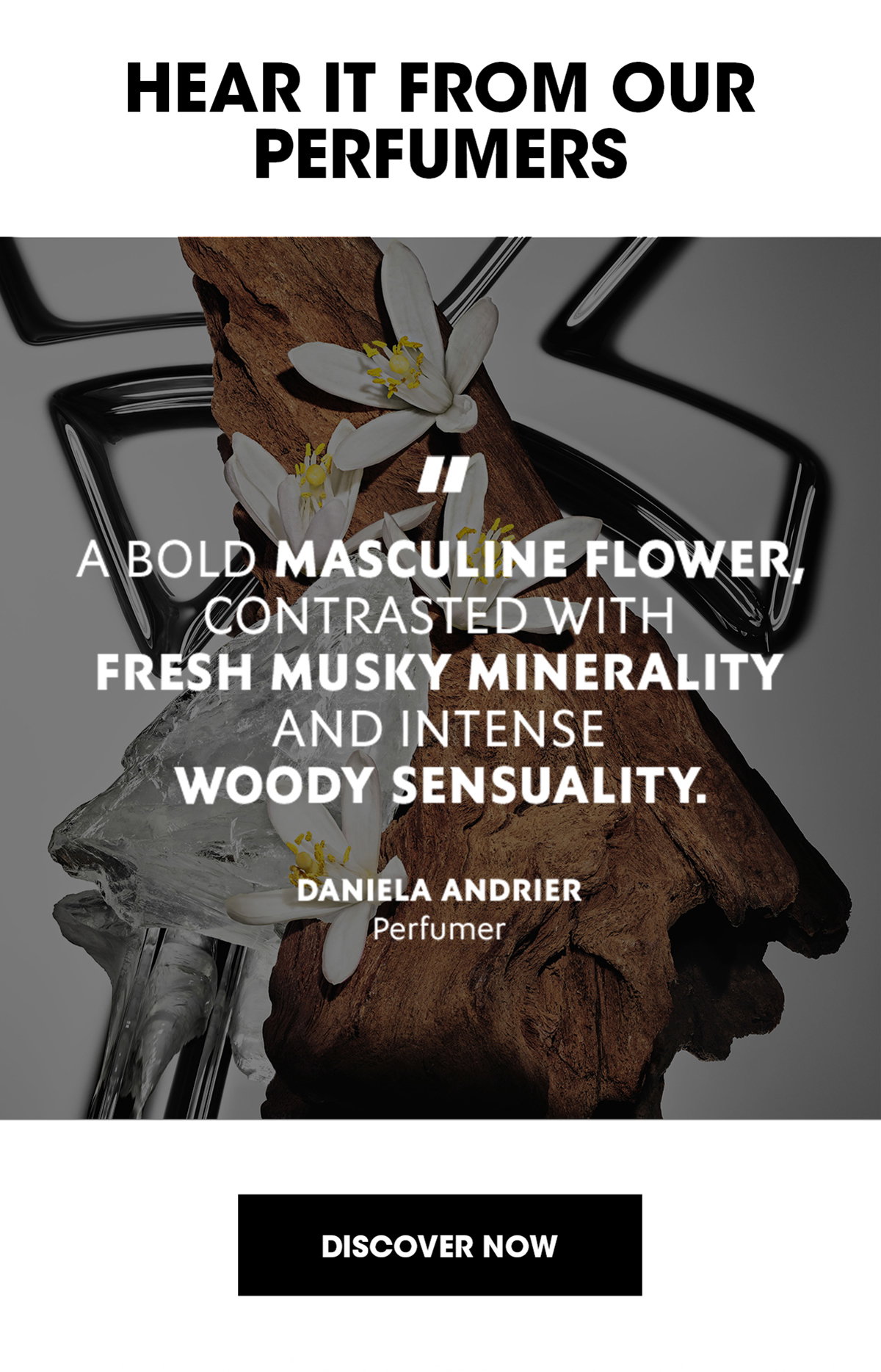 HEAR IT FROM OUR PERFUMERS
