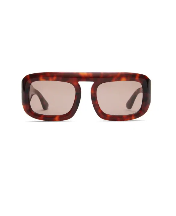 Image of Aries in Red Tortoise