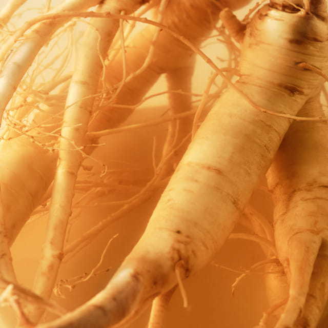 GinZing™ SPF 40 Tinted Moisturizer ingredient: Panax Ginseng.