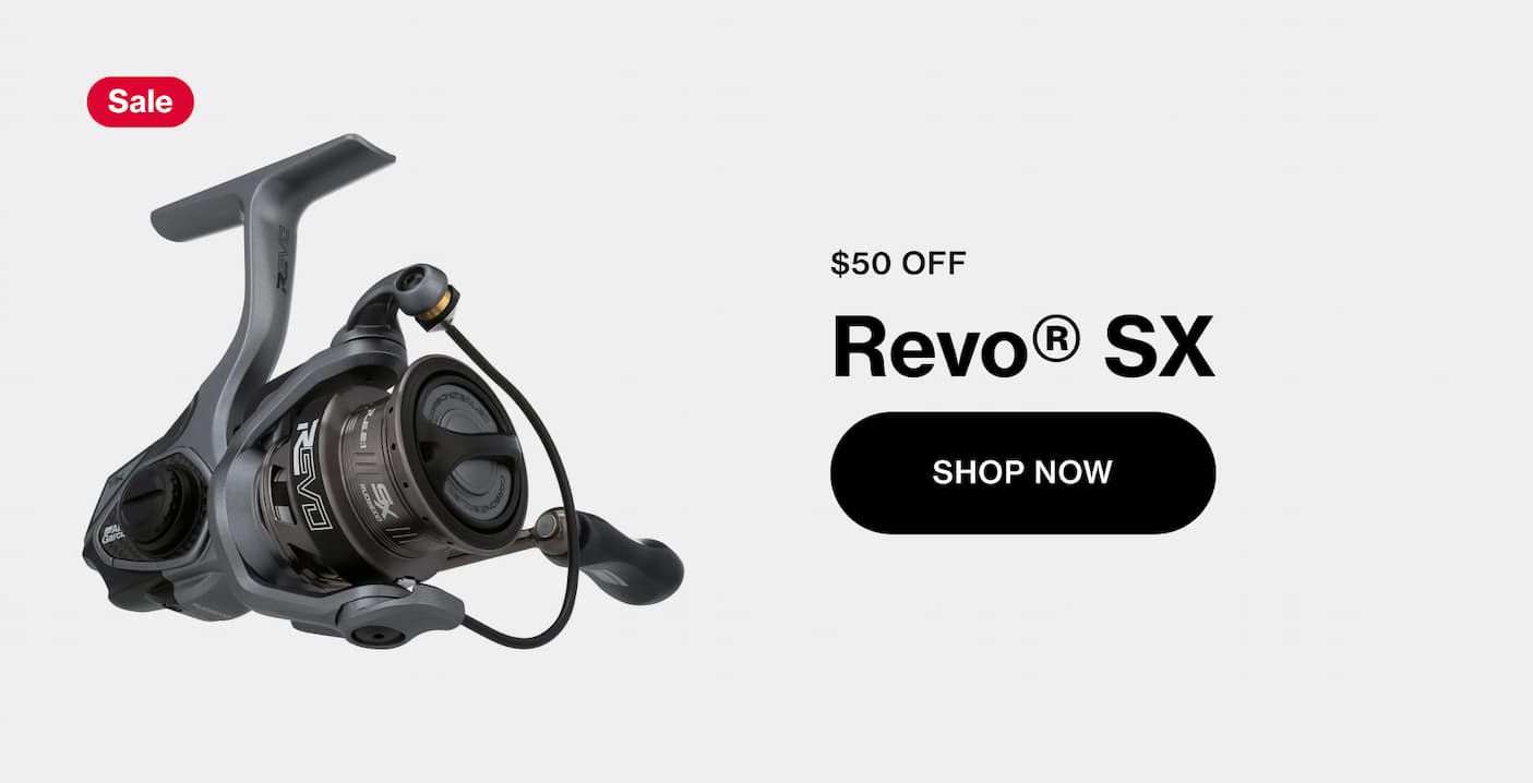 Revo SX Category
