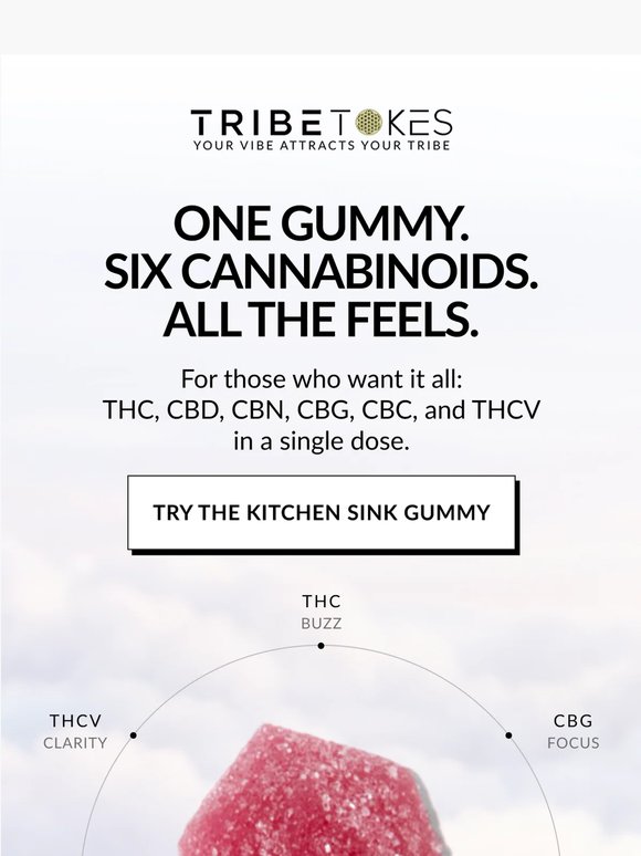 NEW DROP 🍬 Everything But The Kitchen Sink Gummies