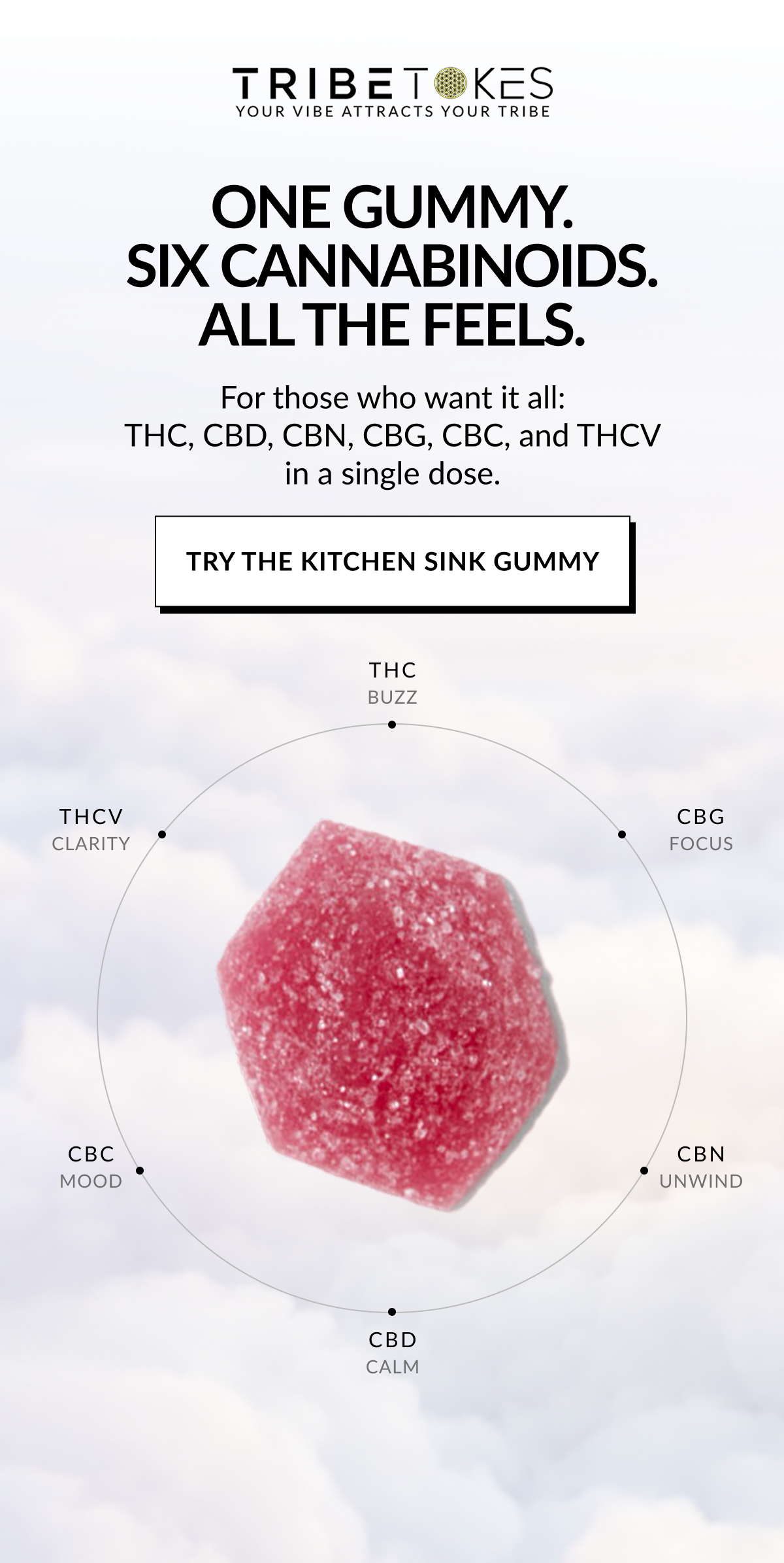 ONE GUMMY. SIX CANNABINOIDS. ALL THE FEELS.