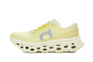 On Cloudmonster 3