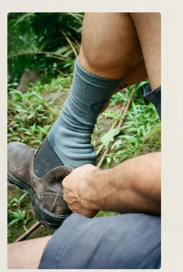 Essential Crew Socks
