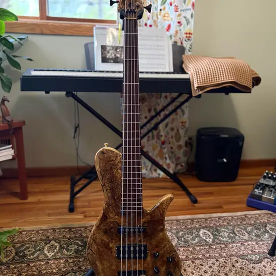 RKM Custom single cut 5 string bass
