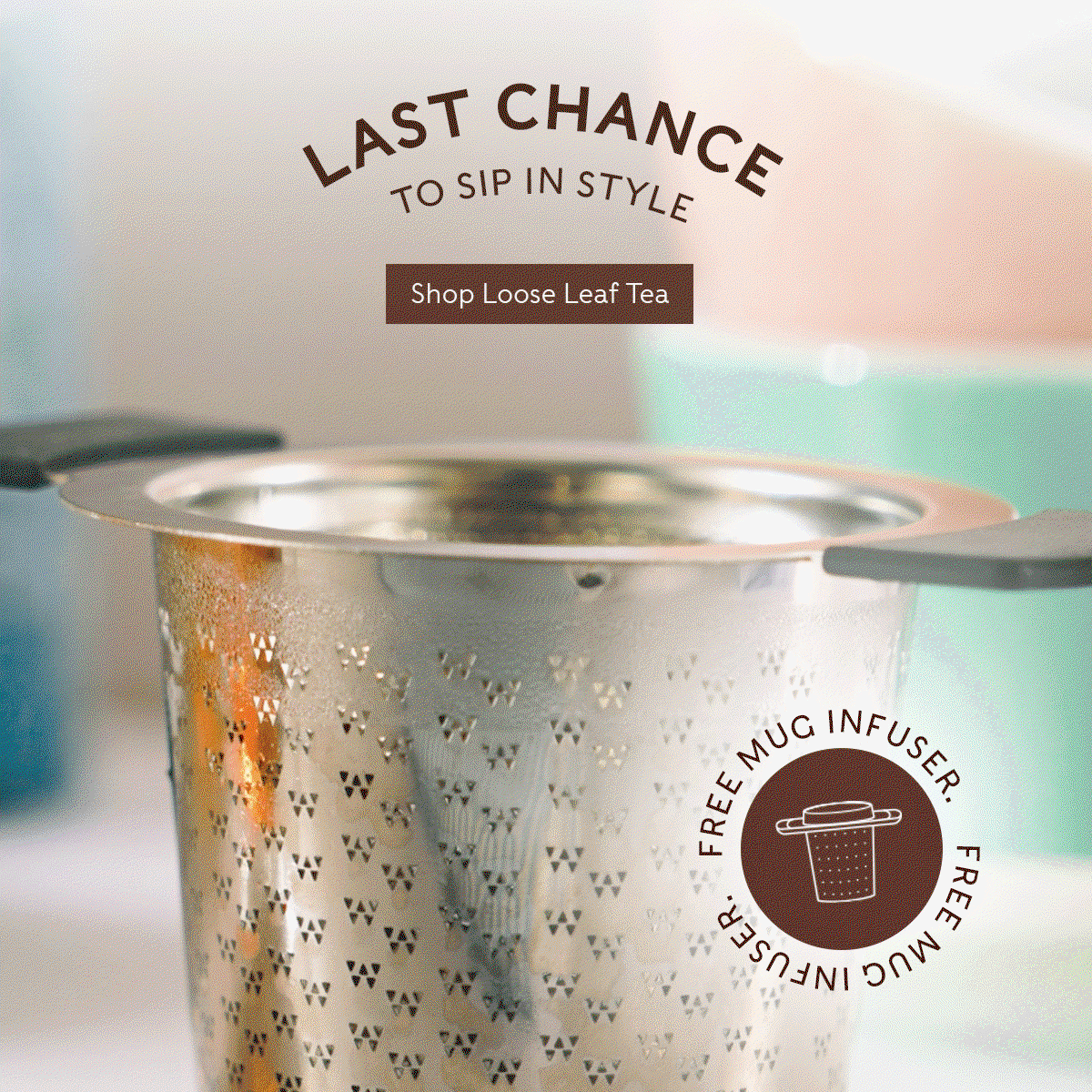Hero GIF with 'Last Chance to Sip in Style' with a free mug infuser roundel and shop loose tea CTA