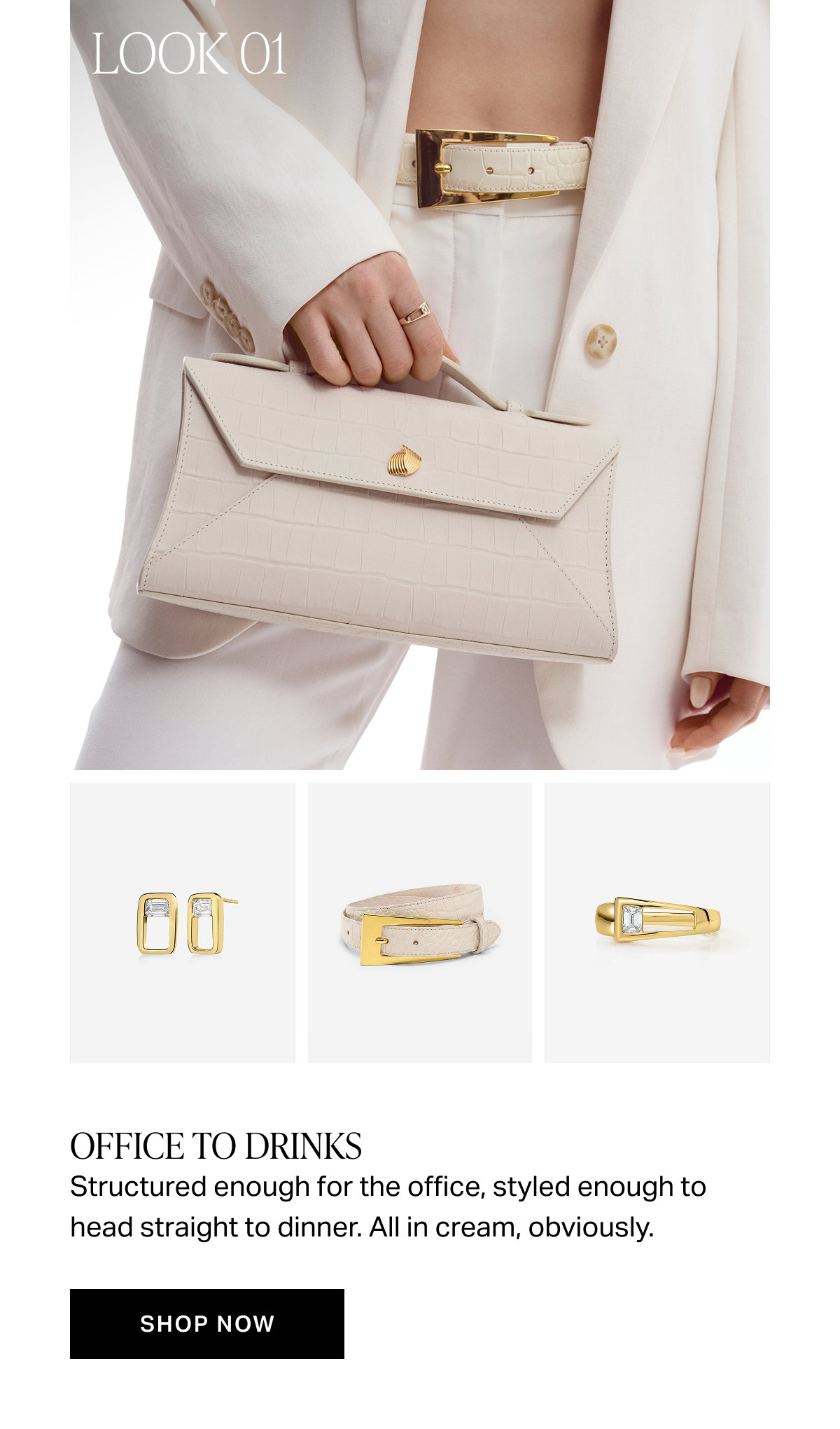 RC x Aureum Style Guide
