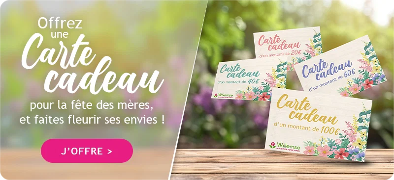 Offrez le choix pour la fête des mères !