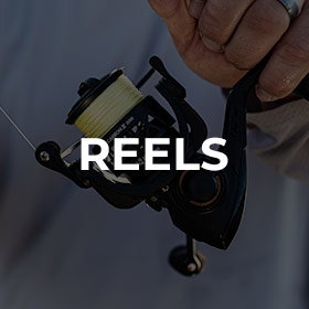 reels