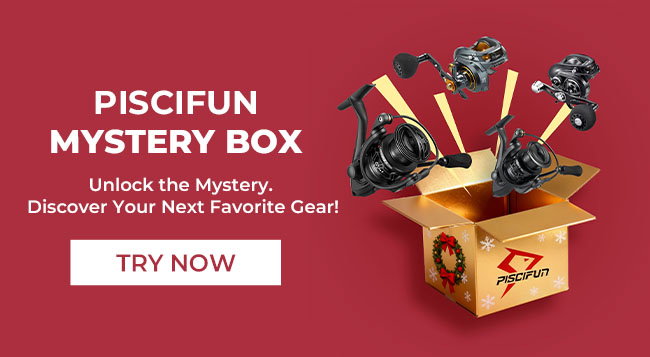 Reel Mystery Box