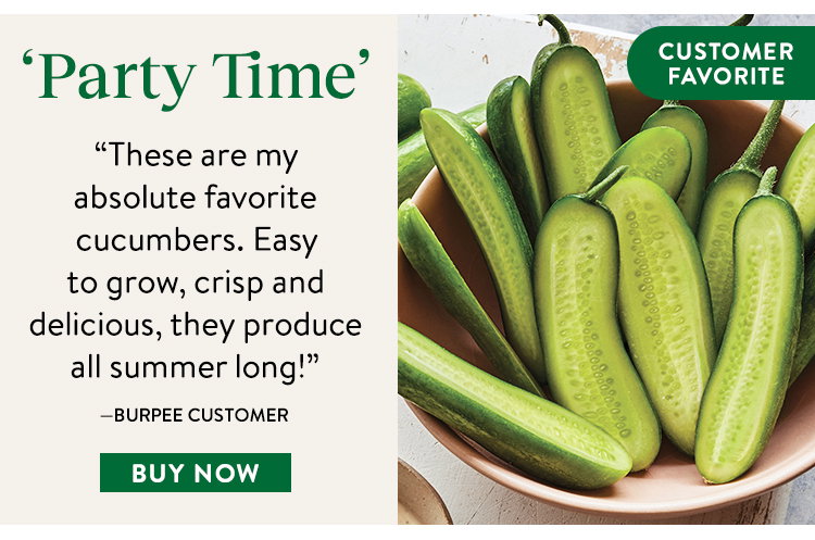 Party Time, Cucumber