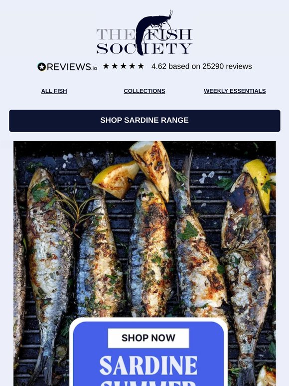 The Newest Internet Craze, Sardine Girl Summer