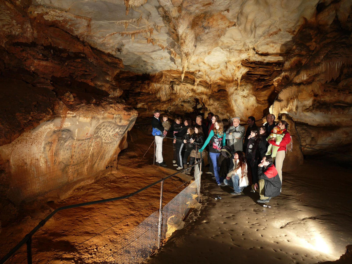 New Scientist Discovery Tours, links to site