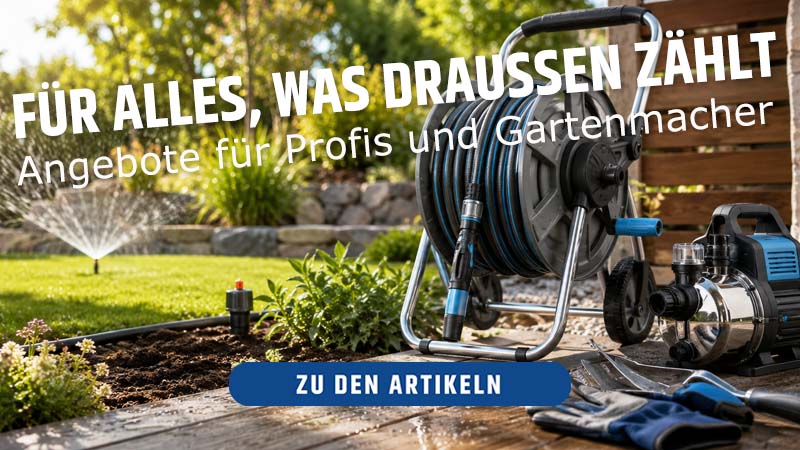 zu den Artikeln