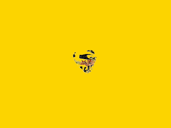 Quiksilver X Pacifico Collection GIF