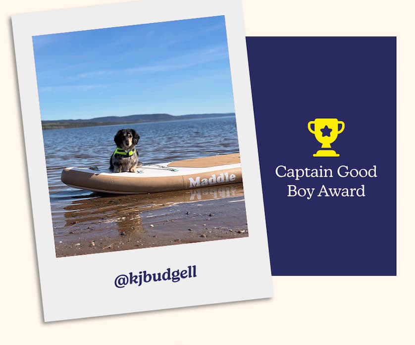 🏆 Captain Good Boy Award