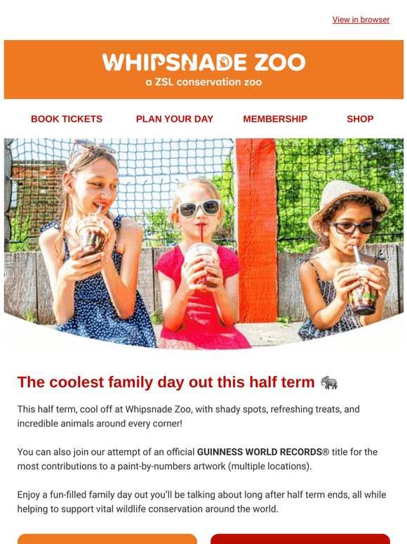 Sunshine + animals + ice cream = perfect half term 🐾