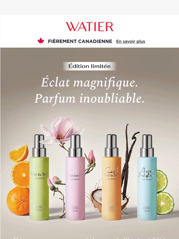 Les parfums (et l’éclat) de l’été 🌴