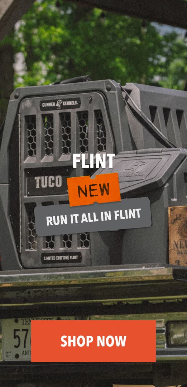New Flint