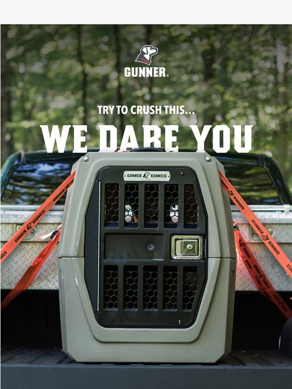 Would your kennel survive this?