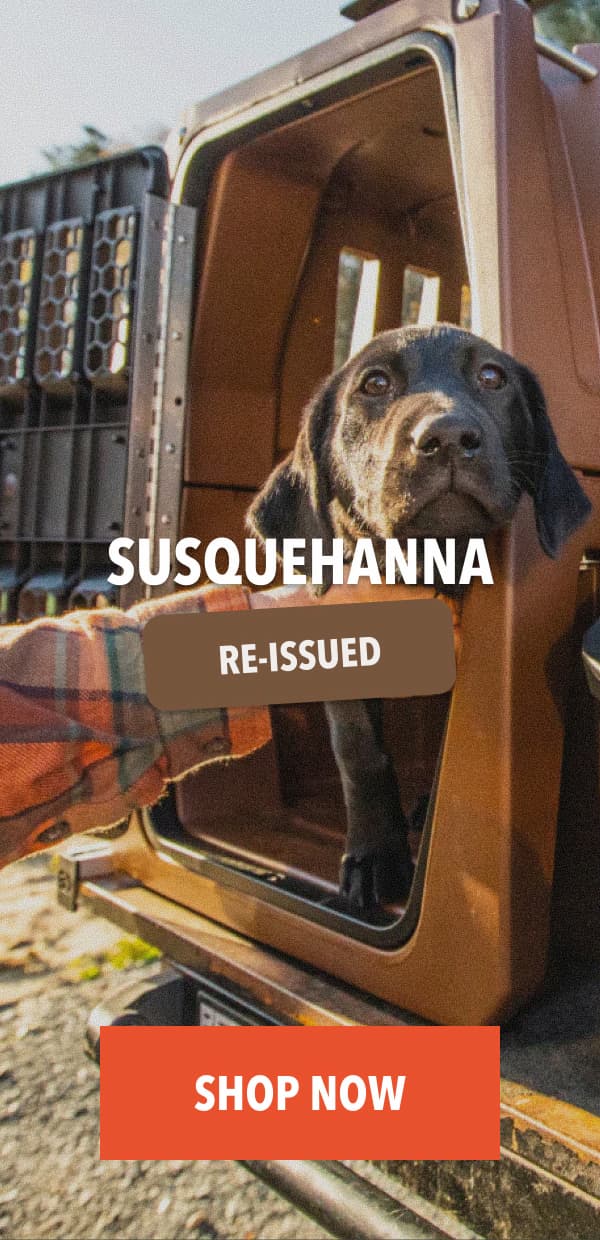Susquehanna Re-Issued