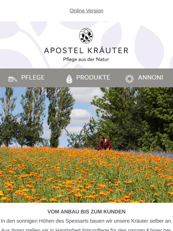 🏵️Die Kraft der Ringelblumenblüten