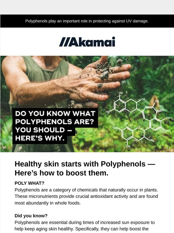 Do you know what Polyphenols are? You should — here’s why.
