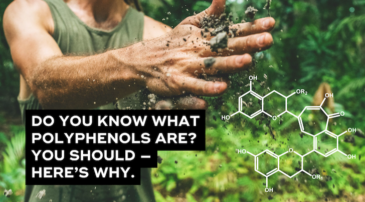 Polyphenols For Healthy Skin & Body