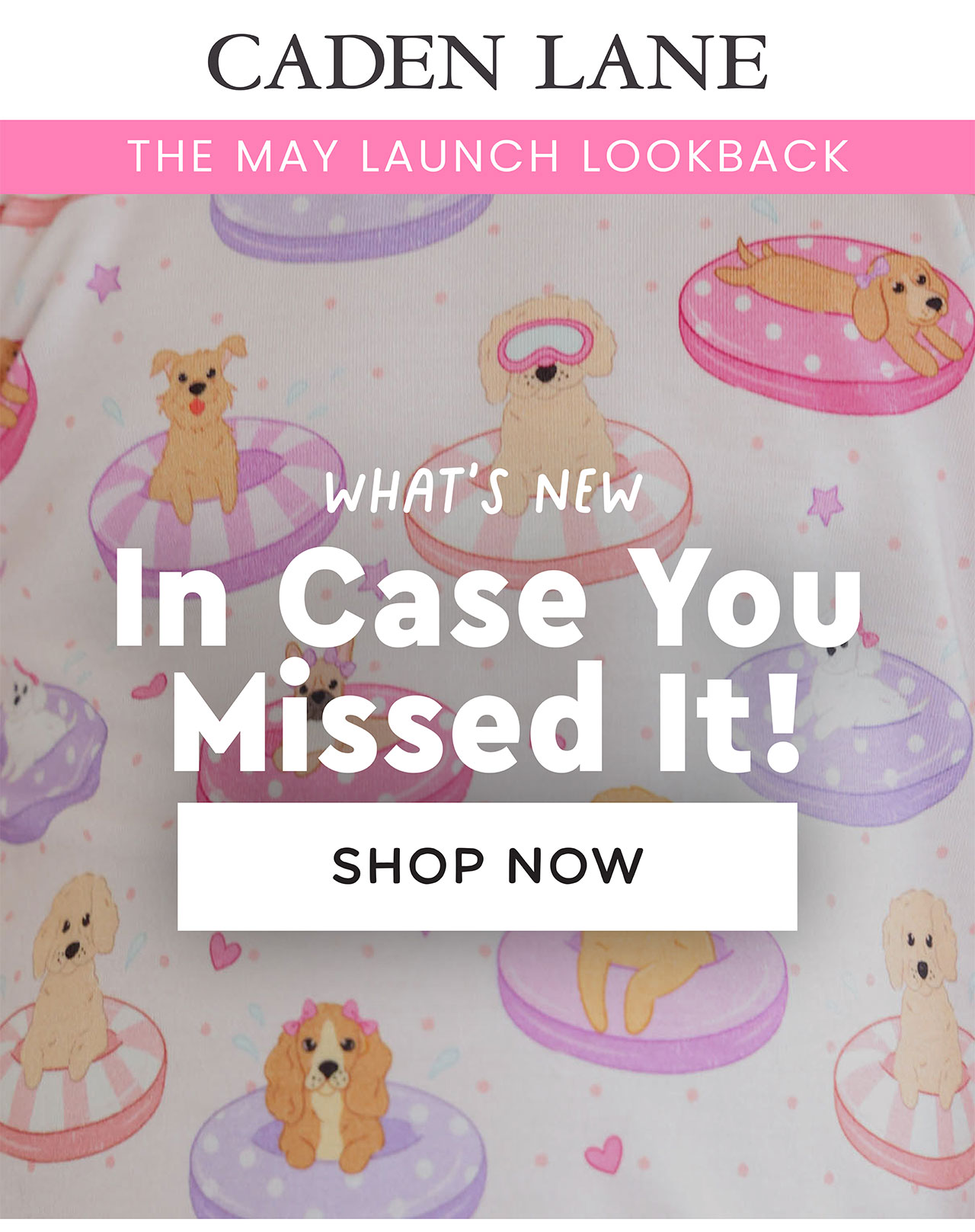 What's New In Case You Missed It! SHOP NOW